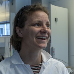 Professor Anne Hauch, DTU Energy