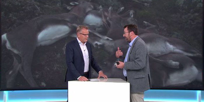 Professor at Center for Power and Energy, DTU Elektro explains why 323 reindeer died after lightning strike - Photo: DR Vejret
